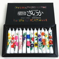 【花絵ろうそく】植物さいか 四季の花模入り・12本入り