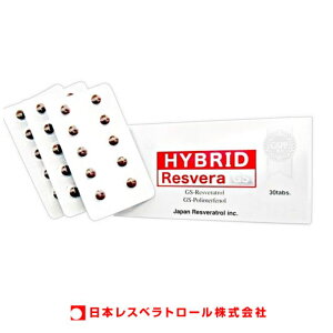 �y���������z�n�C�u���b�h���X�x��GS�@�i30���j�@���X�x���g���[���E�u�h�E��q�R���EGSPP�E�|���t�F�m�[���E���Z�k�E�n�C�u���b�g�E���X�x���E���n���E2�n���E�z���E�u�h�E�E��q�E�|��