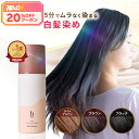 ★神トク対象商品8/4(火)20：00～ 20%クーポン配布中★【楽天1位獲得】白髪染め [ 白髪染 泡 ムース ヘアカラー 永久…