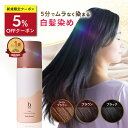 【楽天1位獲得】白髪染め [ 白髪染 泡 ムース ヘアカラー 永久白髪染毛剤 5分で染まる 全体染め リタッチ 部分染め 女…