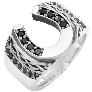 z[XV[ Vo[O(w)*FREE STYLE(t[X^C)