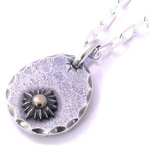 T×[ Vo[y_ggbv*AQUA SILVER(ANAVo[)