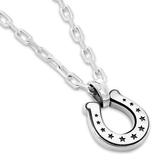 ubN z[XV[×X^[ Vo[y_ggbv*AQUA SILVER(ANAVo[)