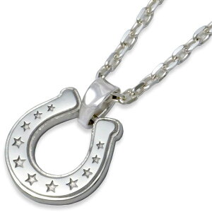 zCg z[XV[×X^[ Vo[y_ggbv*AQUA SILVER(ANAVo[)