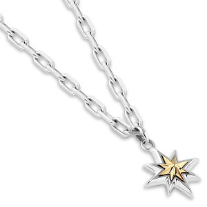 X^[`[t Vo[y_ggbv*AQUA SILVER(ANAVo[)