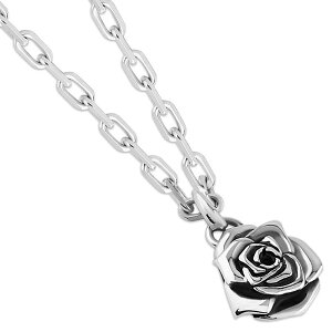 [Y Vo[y_ggbv*AQUA SILVER(ANAVo[)