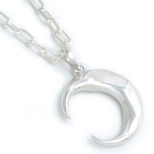 NZg[ Vo[y_ggbv*AQUA SILVER(ANAVo[)