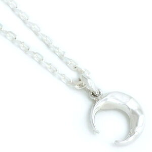 NZg[ Vo[y_ggbv*AQUA SILVER(ANAVo[)