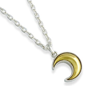 uXxNZg[ Vo[y_ggbv*AQUA SILVER(ANAVo[)