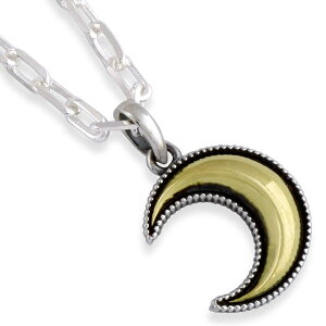 uXxNZg[ Vo[y_ggbv*AQUA SILVER(ANAVo[)