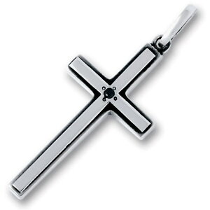 ubN_C NX Vo[y_ggbv*AQUA SILVER(ANAVo[)