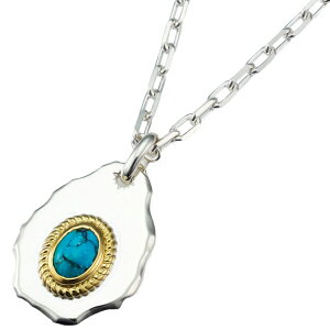 uX ^[RCY n}[hGbW Vo[y_ggbv*AQUA SILVER(ANAVo[)