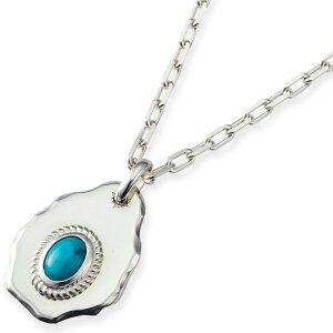 ^[RCY n}[hGbW Vo[y_ggbv*AQUA SILVER(ANAVo[)