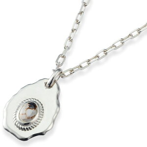 Chz[X n}[hGbW Vo[y_ggbv*AQUA SILVER(ANAVo[)