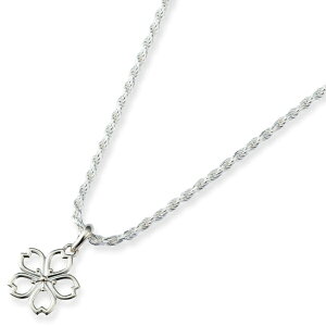  Vo[y_ggbv*AQUA SILVER(ANAVo[)