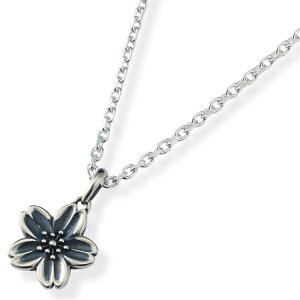  Vo[y_ggbv*AQUA SILVER(ANAVo[)