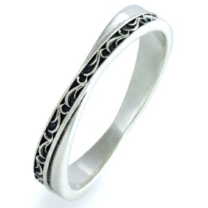 ubN AxXN NX Vo[ Oiwցj*AQUA SILVER(ANAVo[)