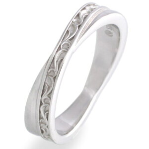 zCg AxXN NX Vo[ Oiwցj*AQUA SILVER(ANAVo[)