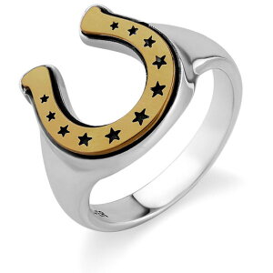 uX X^[ z[XV[ Vo[ Oiwցj*AQUA SILVER(ANAVo[)