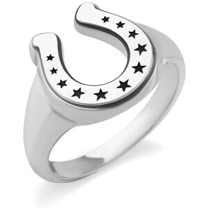 X^[ z[XV[ Vo[ Oiwցj*AQUA SILVER(ANAVo[)