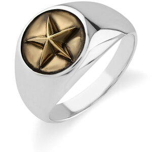 uX X^[ Vo[ Oiwցj*AQUA SILVER(ANAVo[)