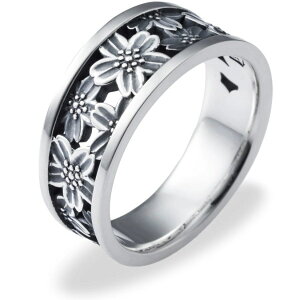  Vo[Oiwցj*AQUA SILVER(ANAVo[)