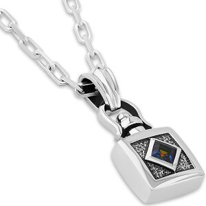 fAeB Vo[y_ggbv*AQUA SILVER(ANAVo[)