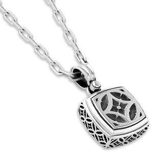 g[T[ Vo[y_ggbv*AQUA SILVER(ANAVo[)