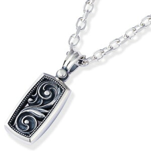 NVJ AxXN Vo[y_ggbv*AQUA SILVER(ANAVo[)