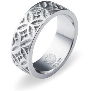 zCg g[T[ Vo[Oiwցj*AQUA SILVER(ANAVo[)