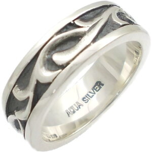 ubNAxXN Vo[Oiwցj*AQUA SILVER(ANAVo[)