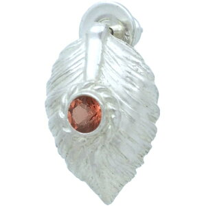 (1)K[lbg zCg lCfBu n[g tFU[ Vo[sAX a