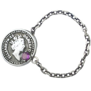 (2)AWXg ubN GUxX RC `F[ Vo[sobW sY a