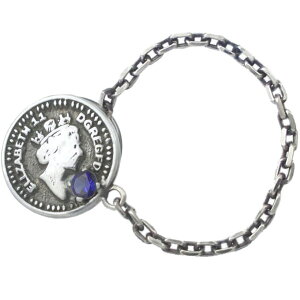 (9)Tt@CA ubN GUxX RC `F[ Vo[sobW sY a