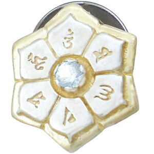 (3)ANA} S[hR[g Z喾  Vo[sobW sY a Z^ 