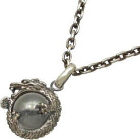 メタル & ドラゴン シルバーペンダントトップ