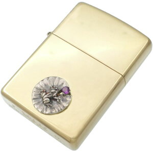 (2)AWXg Z^[ JGƃXC uXWb|a