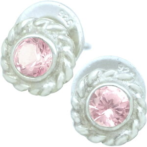 (10)sNg} cCXg t[ Vo[sAX(yA) a