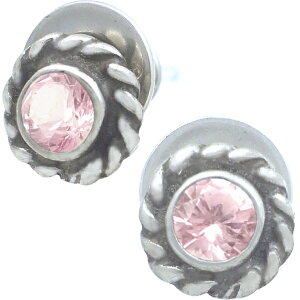 (10)sNg} ubN cCXg t[ Vo[sAX(yA) a