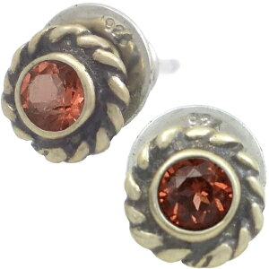 (1)K[lbg AeB[NS[h cCXg t[ Vo[sAX(yA) a