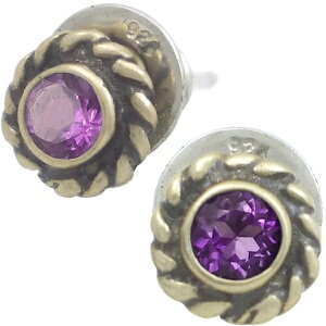 (2)AWXg AeB[NS[h cCXg t[ Vo[sAX(yA) a