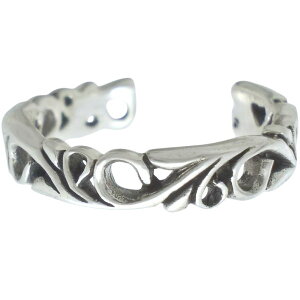 ubN AxXN Vo[C[Jt C[JtX