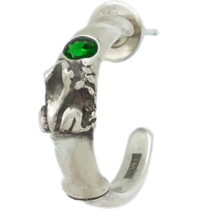 (5)GhOX|ƃJG Vo[sAX a