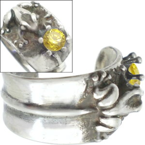 CG[WRjAJGƂ Vo[C[JtX C[Jt