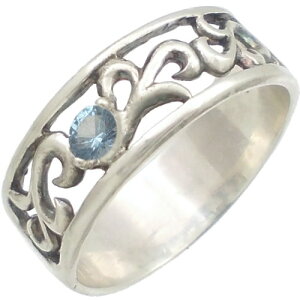 (3)ANA} XN[ Vo[Oiwցj a