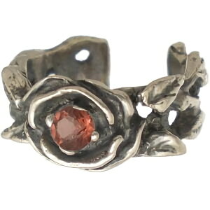 (1)K[lbg [Y Vo[C[JtX C[Jt a