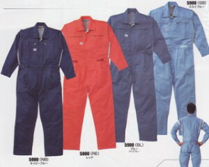 RcC@yȂzy₷zAUTO-BI(I[goC)y5900z