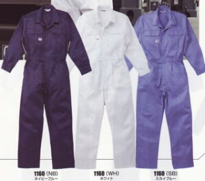 RcC@yȂzyƕzy̎zAUTO-BI(I[goC)y1160z