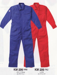 RcC@yȂzkansai@AUTO-BI@(I[goC)yKM206z