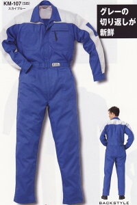 RcC@yȂzkansai@AUTO-BI@(I[goC)yKM107z